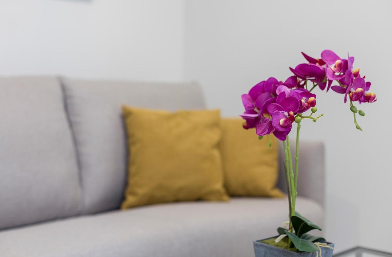 Lala Suites Corredera Centro ヘレス エクステリア 写真